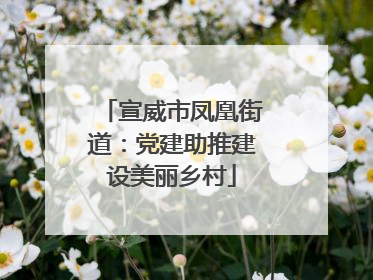 宣威市凤凰街道：党建助推建设美丽乡村